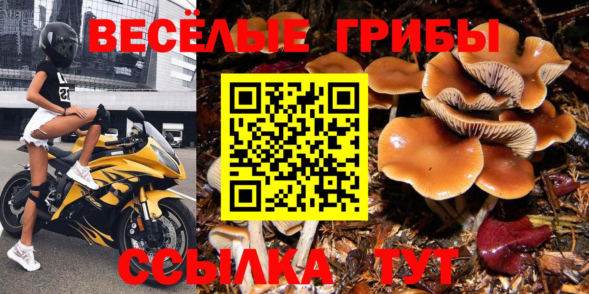 Нижний Тагил  Псилоцибиновые грибы Psilocybe  Вход с VPN  Псилоцибиновые грибы мухоморы 